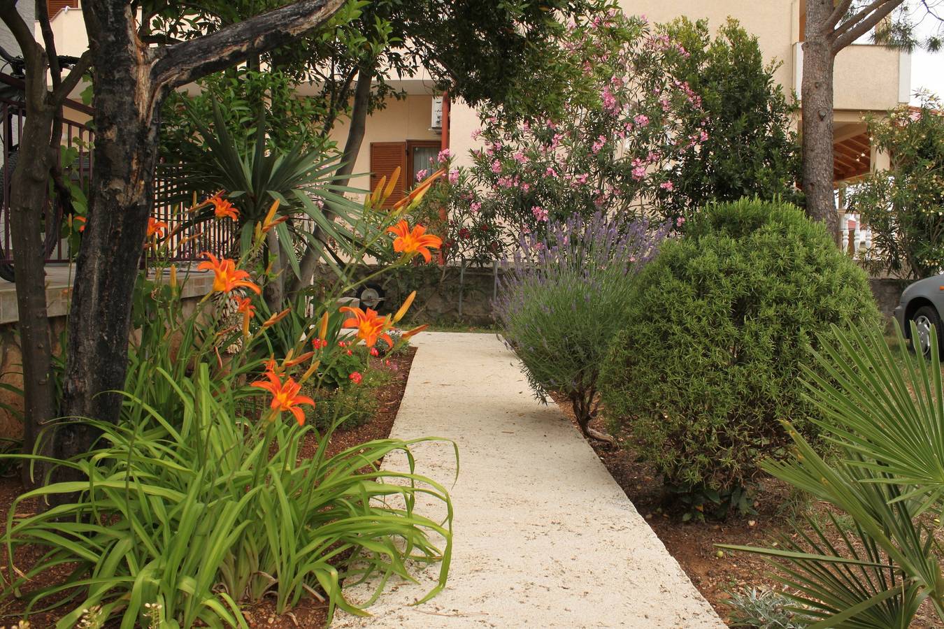Ganze Wohnung, 2-Zimmer-Ferienwohnung mit Terrasse Starigrad, Paklenica A-6627-d in Starigrad Paklenica, Starigrad