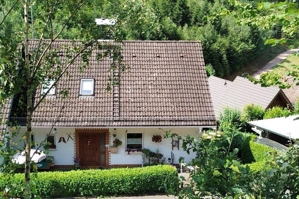 Ganze Wohnung, Ferienwohnung Gaby Lehmann in Hornberg, Mittlerer Schwarzwald