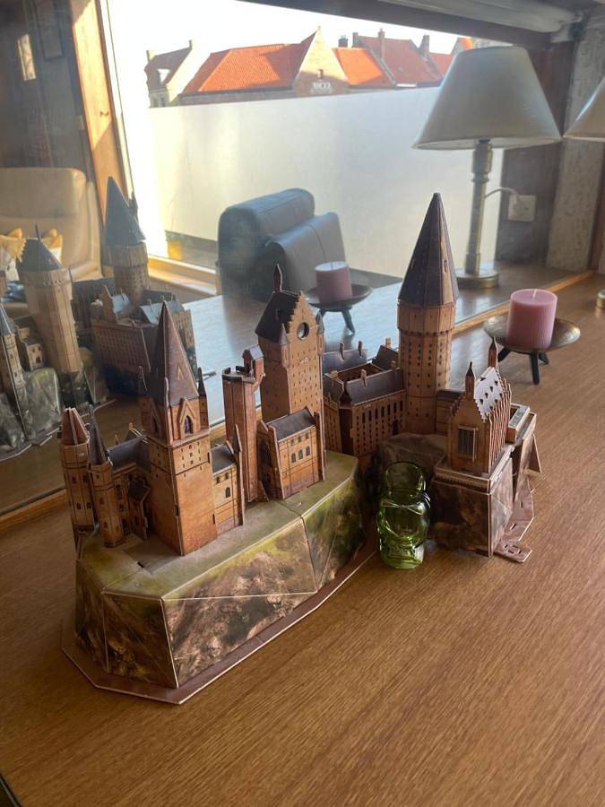 Gîte pour 5 personnes, avec jacuzzi et jardin à Hondschoote - 2