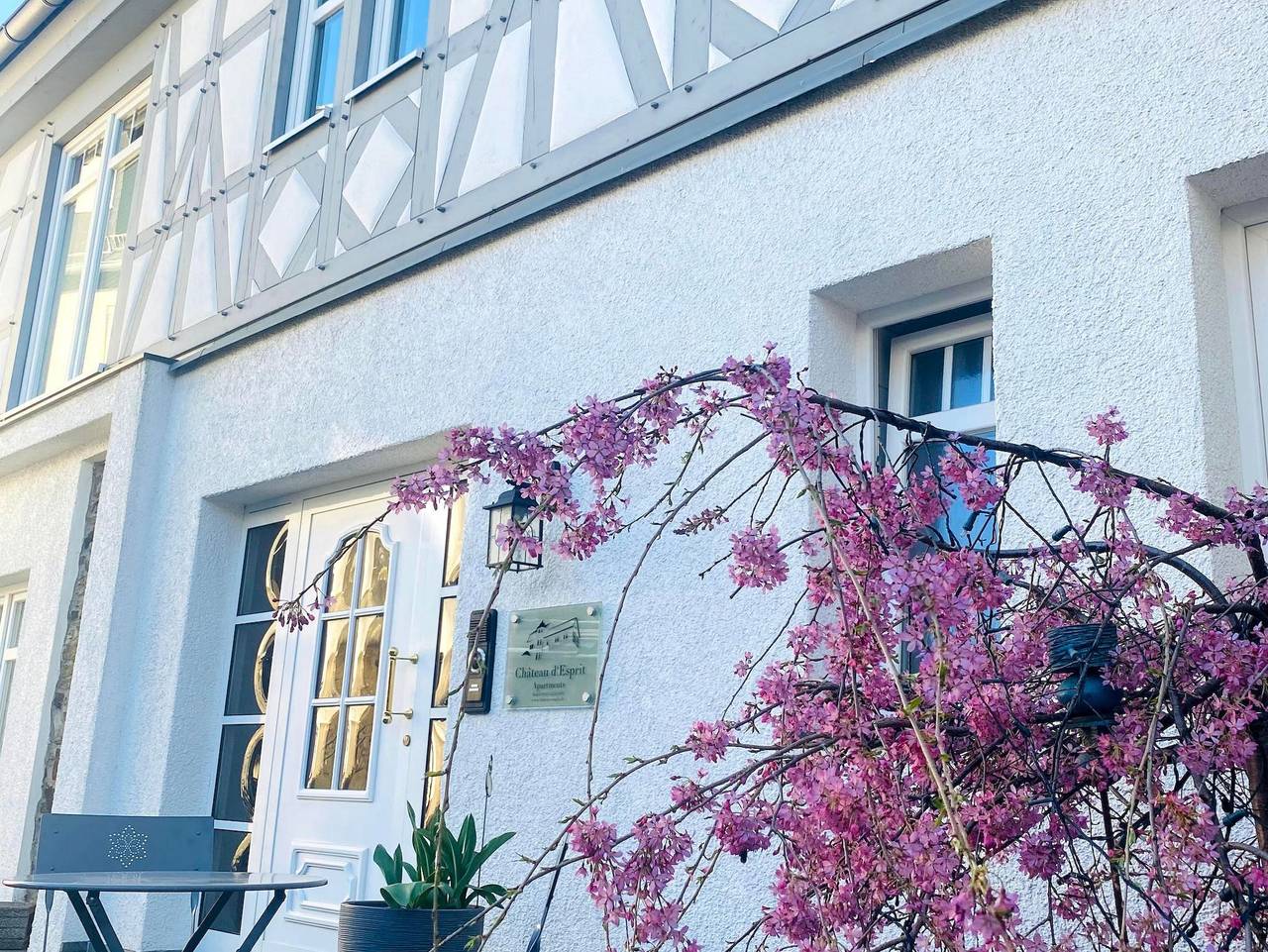 Ganze Ferienwohnung, Apartments im Château d'Esprit - Appartement Orchidee - Wohn-/Schlafraum in Höhr-Grenzhausen, Westerwald