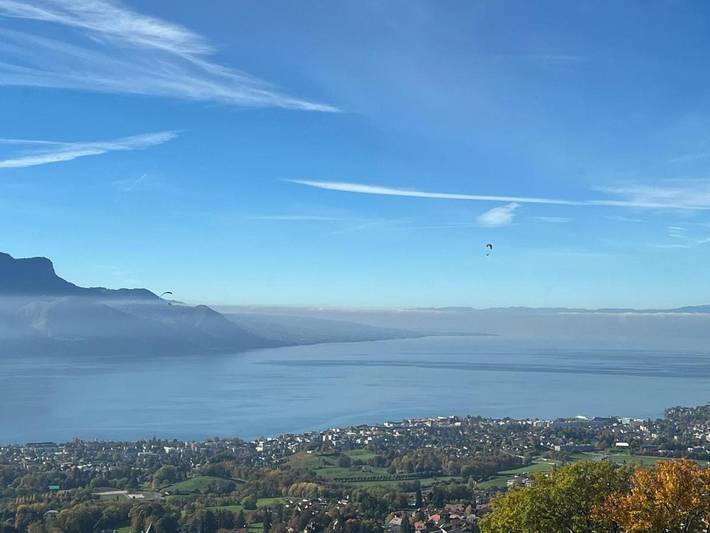 Gîte pour 6 personnes, avec jardin ainsi que vue et vue sur le lac à Blonay - 4