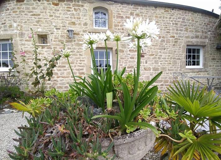 Ferienhaus für 4 Personen, mit Terrasse und Ausblick in Fontenay-sur-Mer