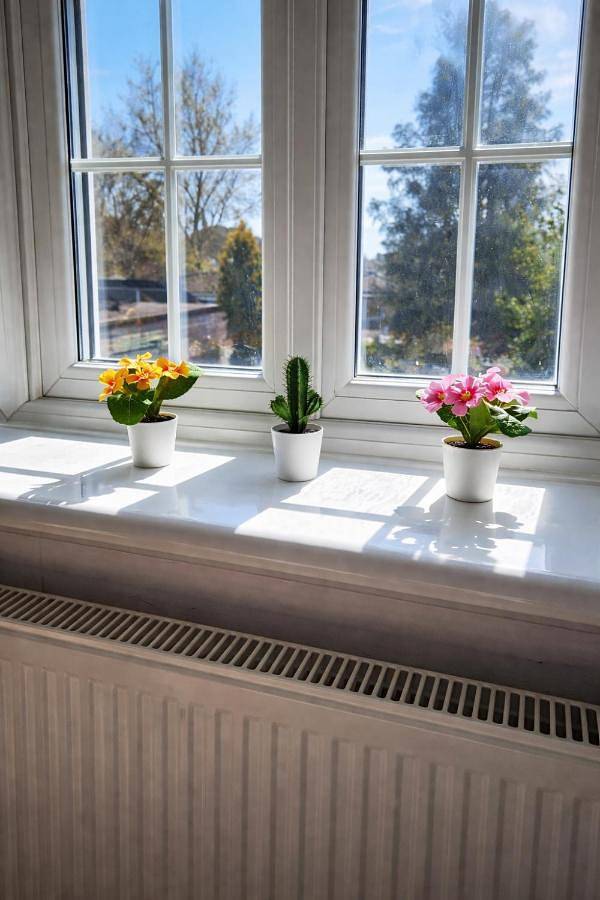 Maison d’hôte pour 2 personnes, avec vue à Windsor - 4