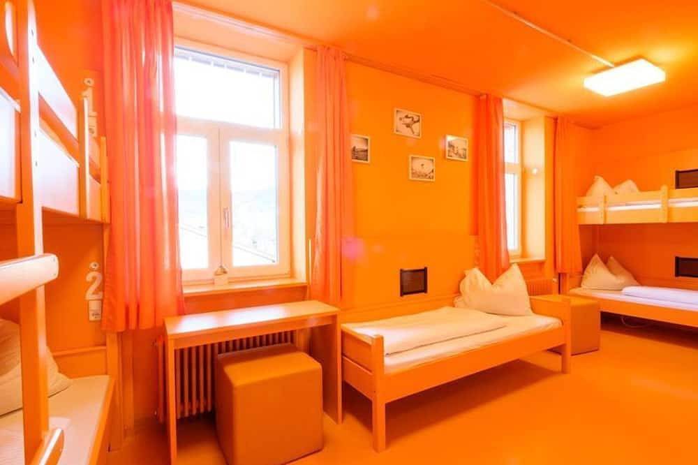 Twin room with shower/Wc - Oberammergau Youth Hostel in Oberammergau, Bavarian Alps