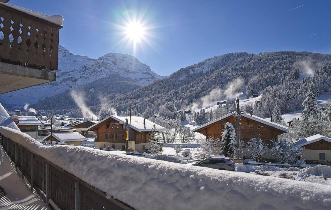 Hôtel Le Chamois in Les Diablerets, Ormont-Dessus (Les Diablerets)