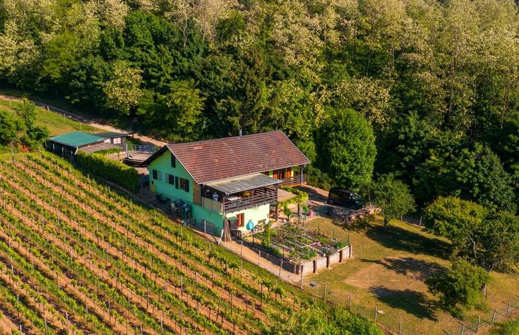 Ferienhaus für 4 Personen in Bergheim (Elsass) - 4