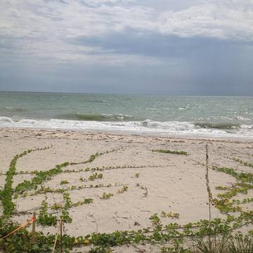Cabin for 4 Guests in Siesta Key, Sarasota County, Picture 3