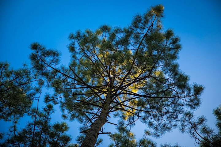 Maison de vacances pour 2 personnes, avec jardin ainsi que sauna et terrasse à Le Porge