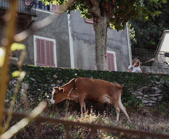 Location de vacances pour 6 personnes, avec Balcon ainsi que Terrasse et Vue à Canari - 3