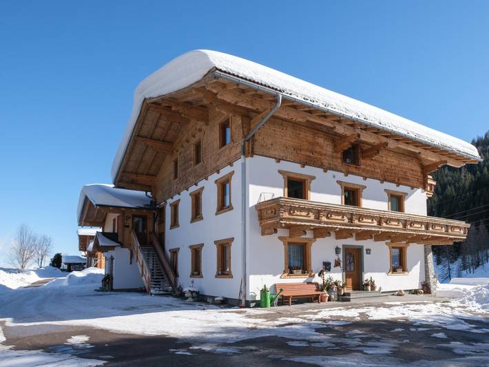 Ganze Wohnung, Gemütliche Wohnung mit Terrasse und Skiraum
 in Radstadt, Ski Amadé