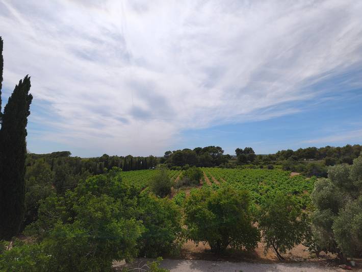 Casa rural para 13 personas, con jardín en San Pedro de Ribas - 4