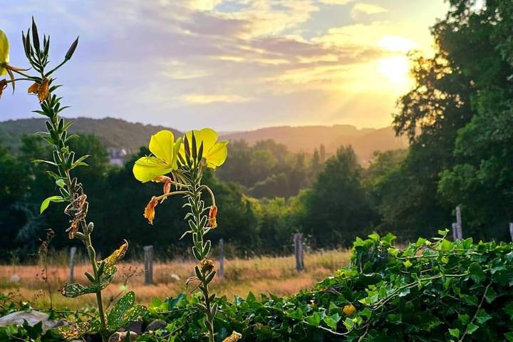 Location de vacances pour 8 personnes, avec piscine ainsi que vue et jardin, animaux acceptés à Lamonzie-Montastruc - 4