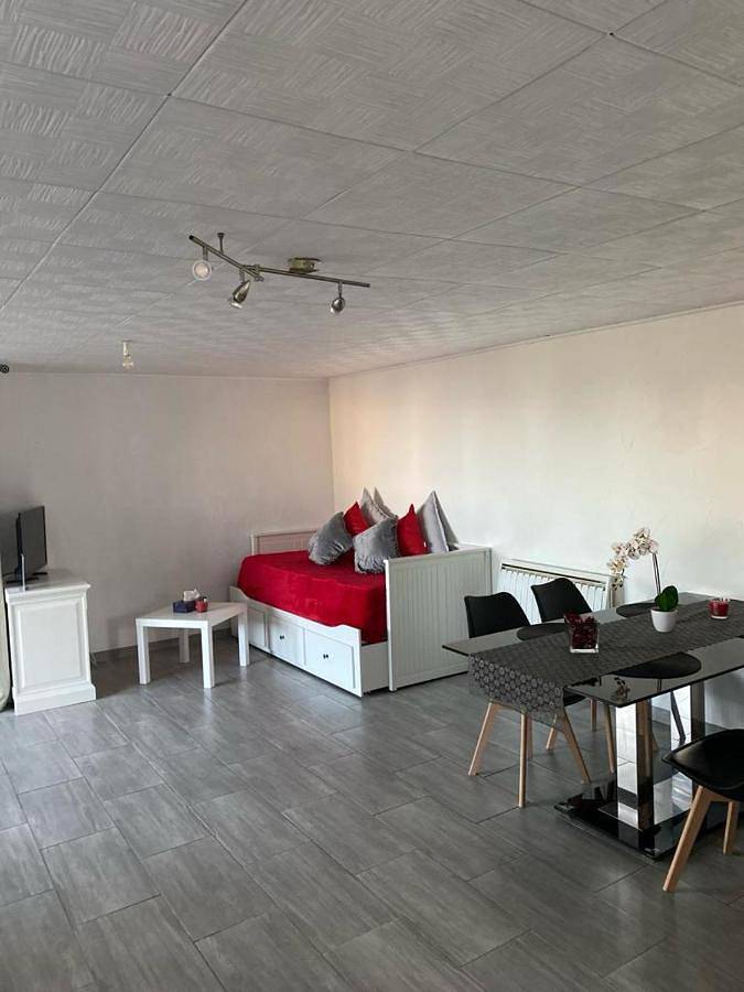 Gîte pour 3 personnes, avec terrasse à Maxilly-sur-Léman - 2