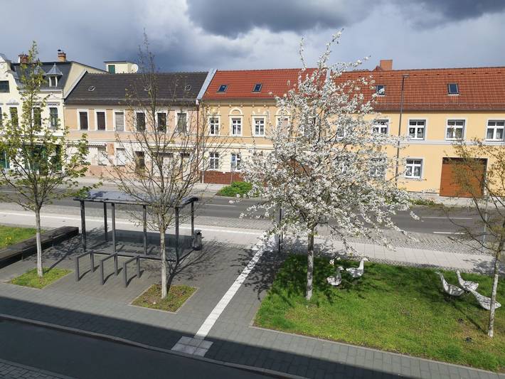 Hotel für 3 Personen, mit Terrasse in Senftenberg - 2