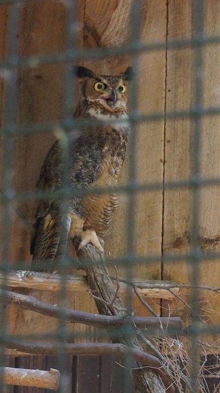 Eine friedliche Naturkulisse, nur zwei Autominuten von Historic Downtown Mystic entfernt. in Mystic, Connecticut