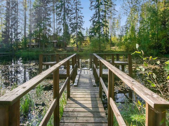 Viinakorpi in Salkola, Eigentliches Finnland