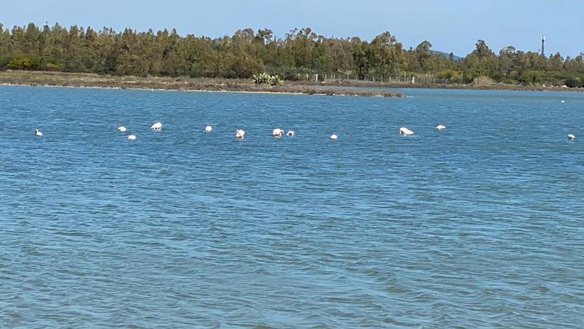 Maison d’hôte pour 2 personnes à Muravera - 3
