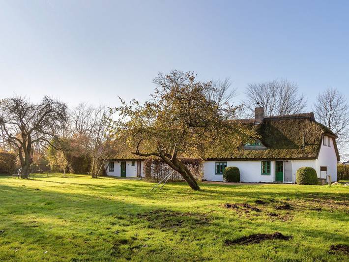 Ferienhaus für 3 Personen, mit Sauna und Garten sowie Terrasse, kinderfreundlich in Neuenkirchen (Rügen)