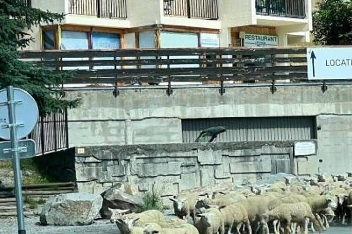 Gîte pour 3 personnes dans Patinoire Orcieres Merlette - 2