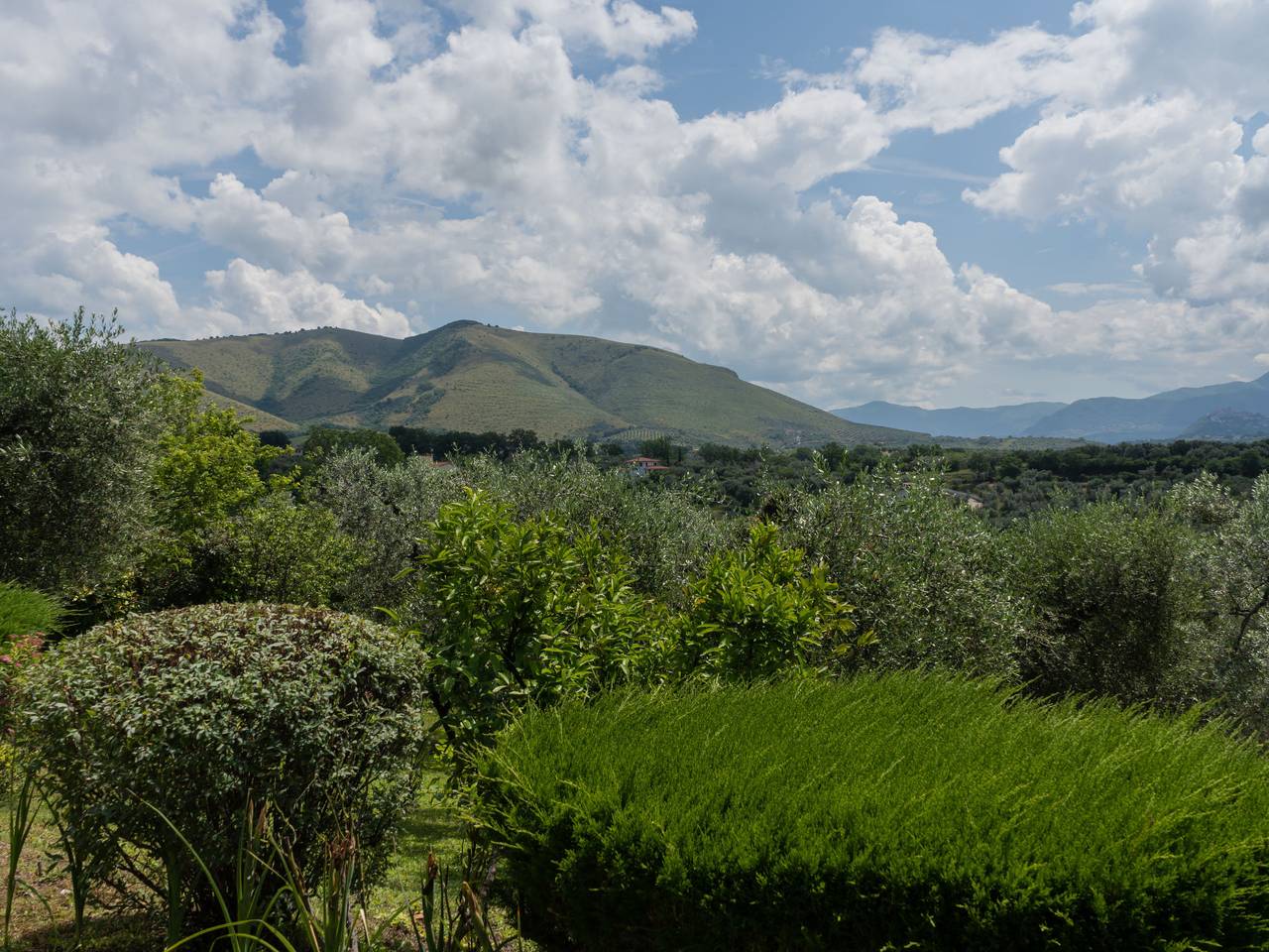 Olive Grove Sabina in Fara in Sabina, Provincia di Rieti