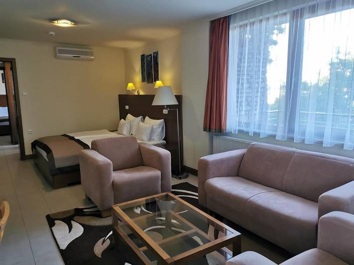 Hotel für 4 Personen, mit Sauna und Garten sowie Pool und Ausblick in Balatonalmadi - 3