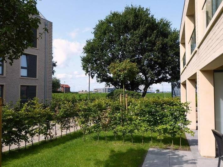 Ferienwohnung für 2 Personen, mit Garten, mit Haustier in Dangast - 2
