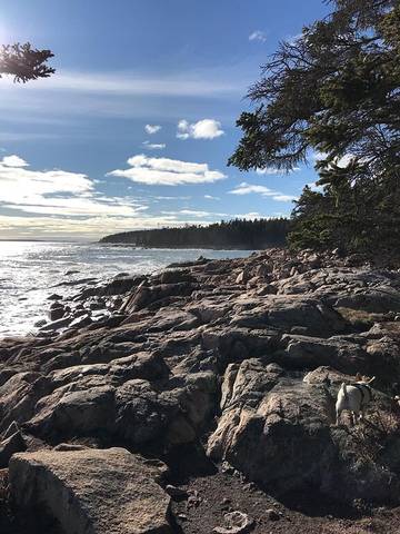 Vacation Apartment for 6 Guests in Southwest Harbor, Mount Desert Island, Picture 2