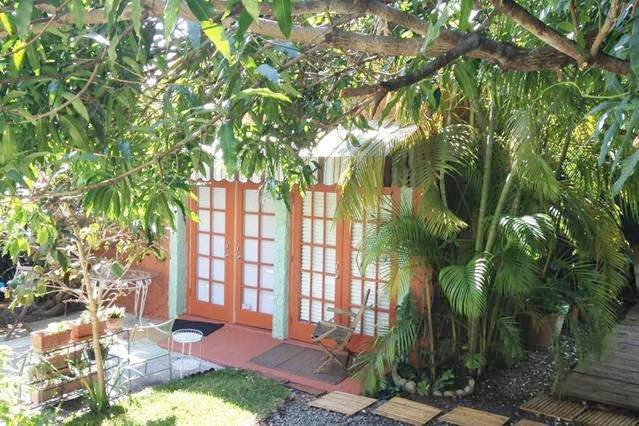 The Wild Rose in Little Havana, Miami