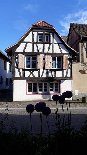 Gîte pour 6 personnes, avec terrasse à Scherwiller