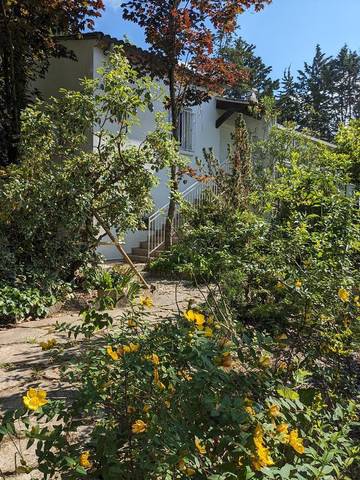 Gîte pour 4 personnes, avec jardin, animaux acceptés à Lavilledieu