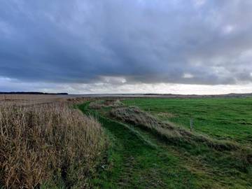 Ferieudlejning til 5 Personer i Gjeller Odde, Underbjerg, Billede 4