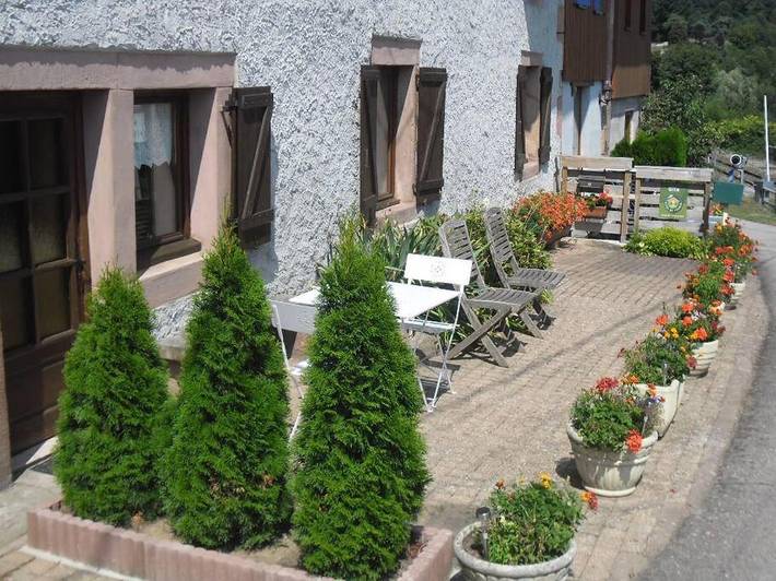 Location de vacances pour 3 personnes, avec Terrasse ainsi que Jardin et Vue à Docelles