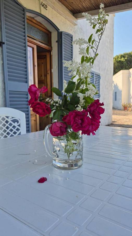 Location de vacances pour 7 personnes, avec vue ainsi que terrasse et jardin, animaux acceptés à Impalata - 2
