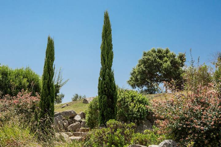 Villa für 8 Personen, mit Garten und Pool, kinderfreundlich auf Korsika - 4