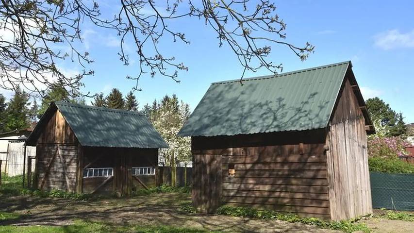 Ferienhaus für 5 Personen, mit Garten in Mecklenburgische Schweiz - 4