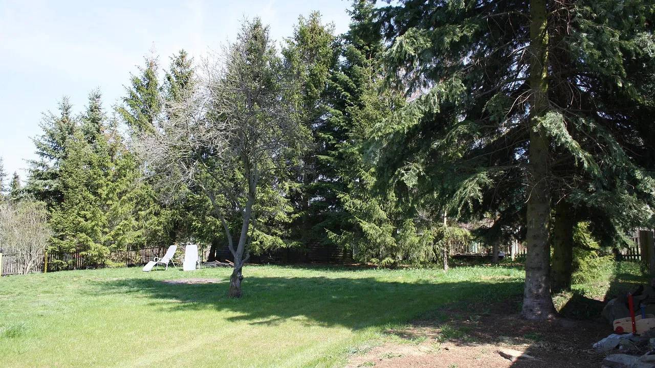 Ferienhaus für 4 Personen (67 m²) in Thale in Thale, Harzvorland