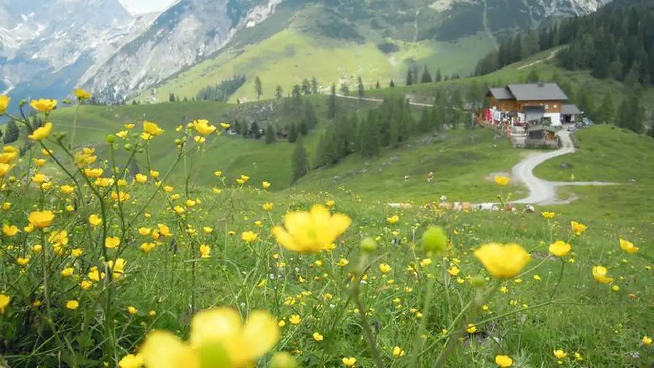 Apartamento vacacional entero, Ferienwohnung für 2 Personen (20 m²) in Werfenweng in Werfenweng, Bundesland Salzburg