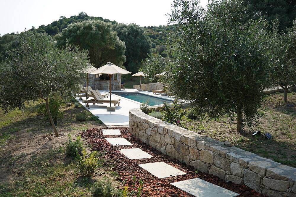 Stone house in an olive grove 15 minutes from the beach in Cognocoli-Monticchi, Ajaccio und Umgebung