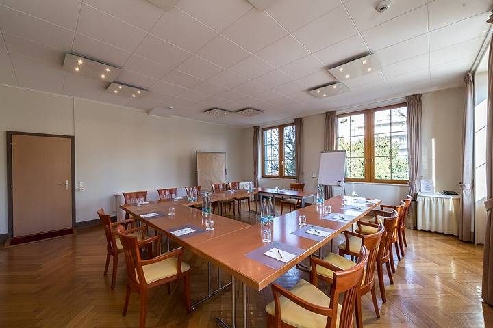 Hôtel Bon Rivage - Chambre Double Standard in La Tour-de-Peilz, Lac Léman