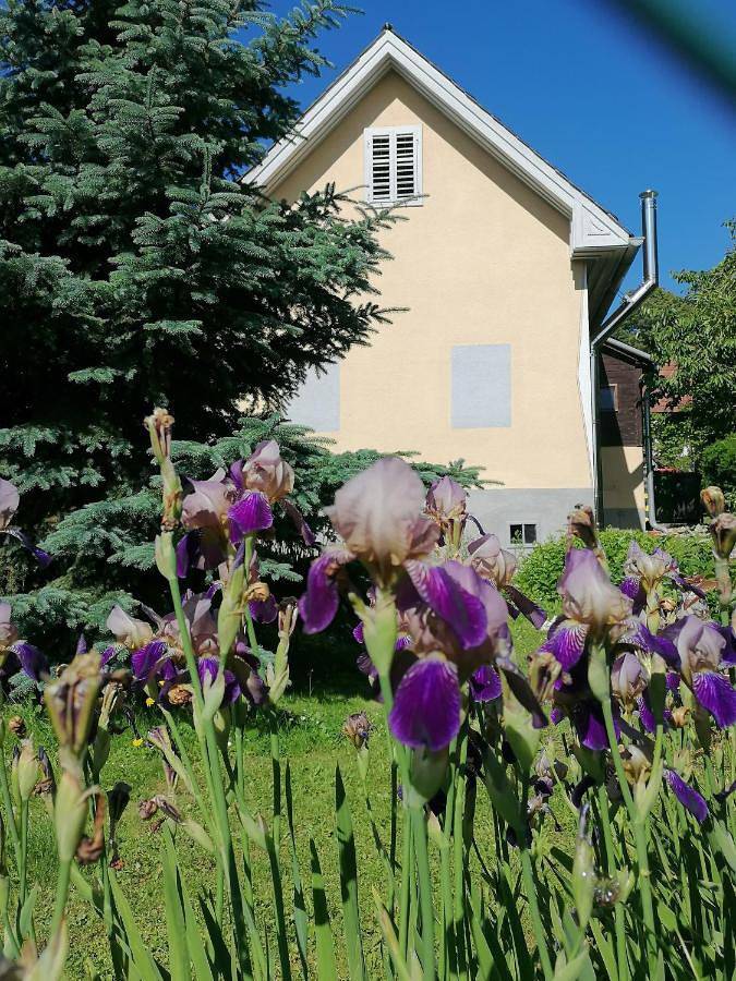 One-Bedroom House in Bad Blumau, Steirerland