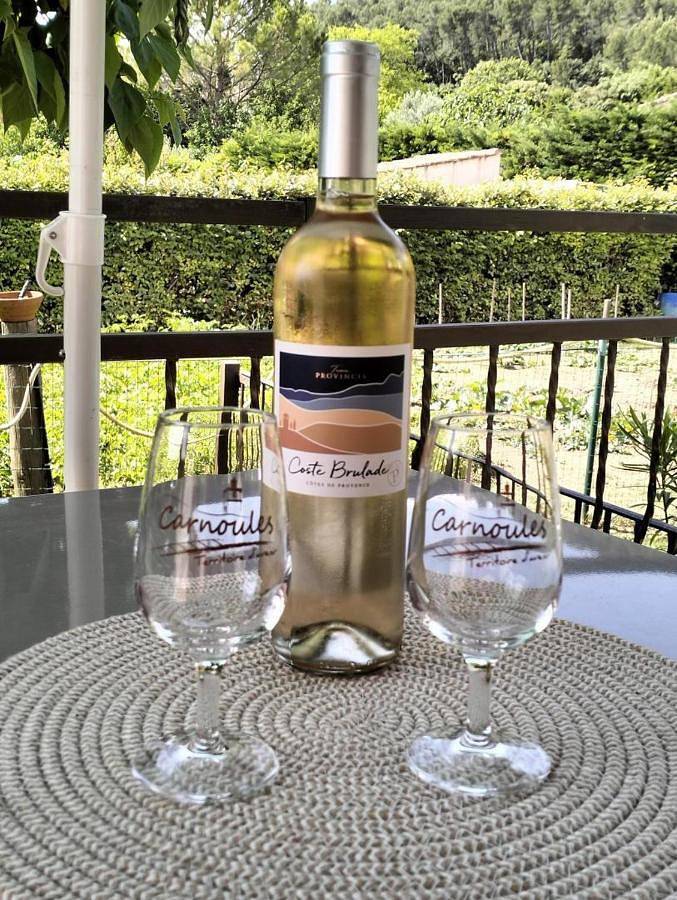 Location de vacances pour 3 personnes, avec terrasse ainsi que piscine et jardin à Carnoules - 3