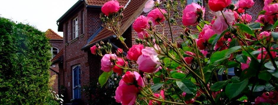 Ferienwohnung für 4 Personen, mit Terrasse und Garten in Landkirchen - 2