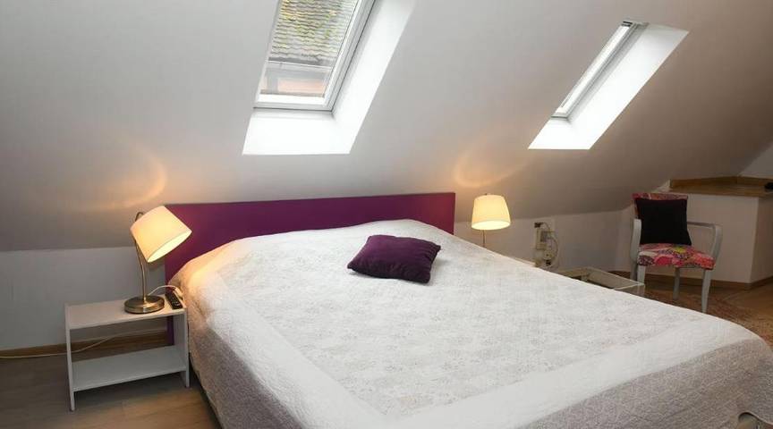 Chambre d’hôte pour 2 personnes à Colmar - 4