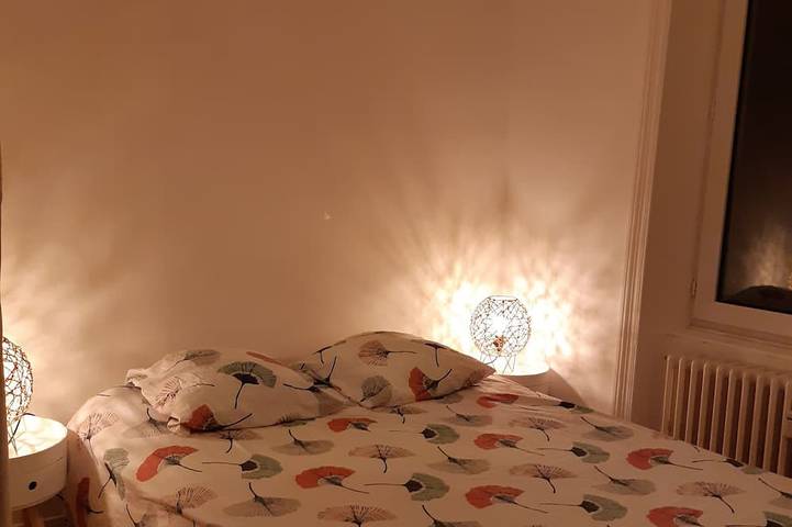 Ganze Wohnung, La Villa des Thermes Summer / Cure / Winter in Mont-Dore, Regionaler Naturpark Volcans d'Auvergne