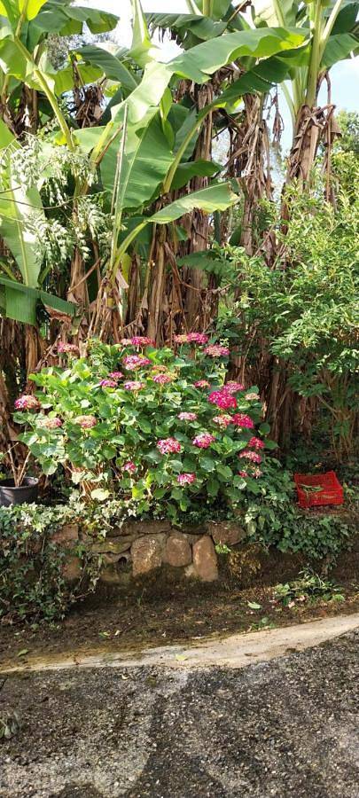 Gîte pour 4 personnes, avec terrasse et vue à Lasseube - 2