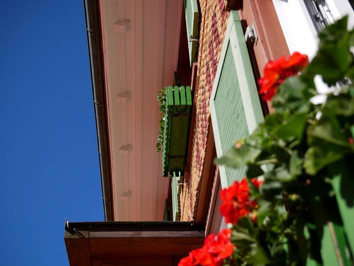 Gasthof Löwen - Einzelzimmer mit Dusche/Wc in Breitnau, Südschwarzwald