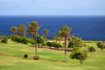 Apartment for 2 People in Golf del Sur, San Miguel de Abona, Photo 1