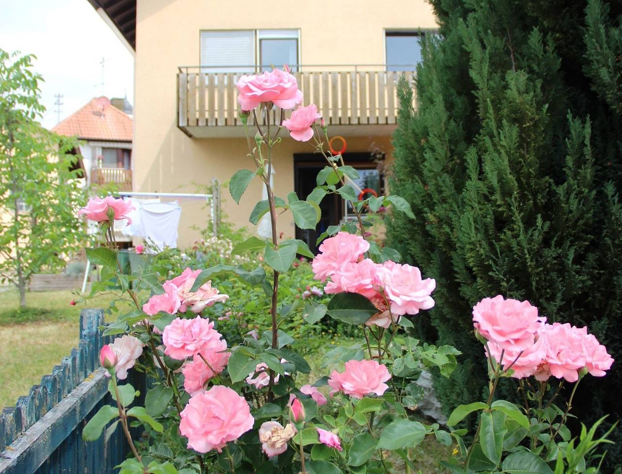 Ganze Wohnung, Ferienwohnung 'Donau, 40qm' mit Balkon und Wi-Fi in Mühlingen, Landkreis Konstanz