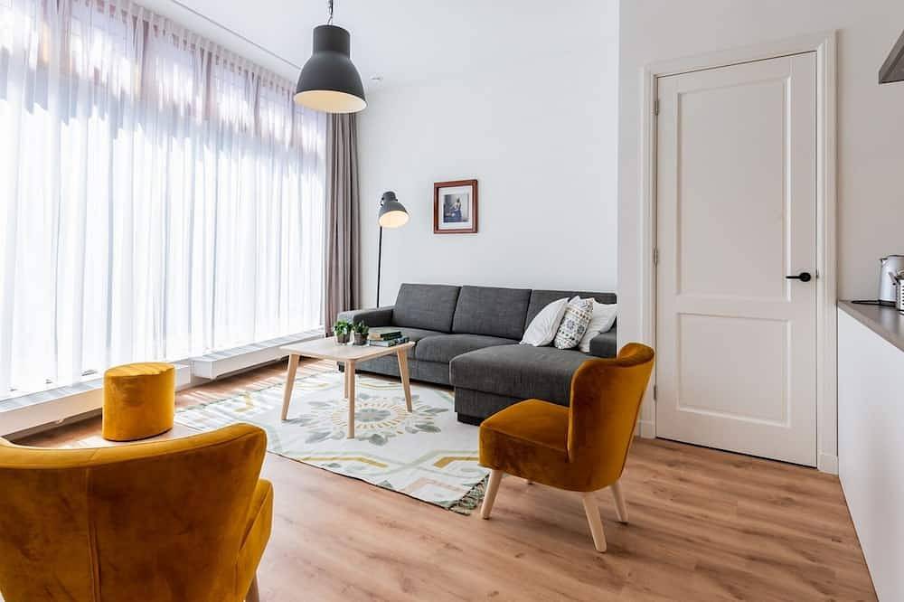 Geheel appartement, De oude winkel: een geheel gerenoveerd appartement in het centrum van Leiden in Leiden, Nederlandse Noordzeekust