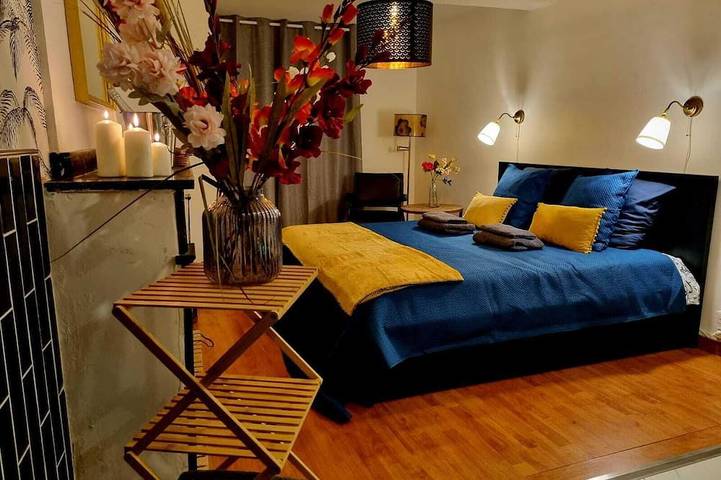 Location de vacances pour 4 personnes, animaux acceptés à Saint-Michel-de-Lanès - 4